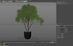 Plants collection 670