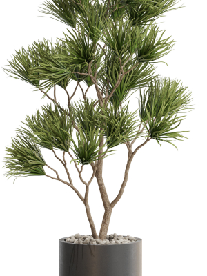 plants-collection-678-3d-model-max-obj-fbx-c4d-blend