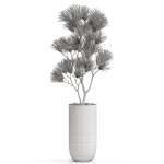Plants collection 678