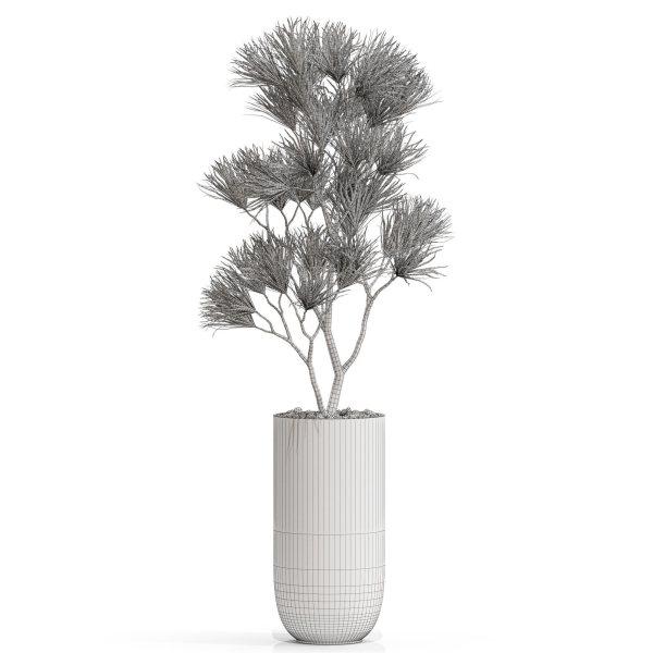 Plants collection 678