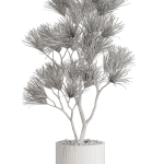 Plants collection 678