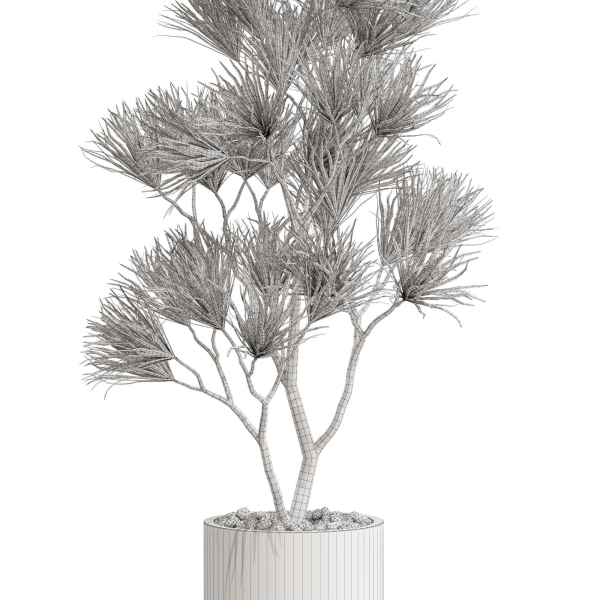 Plants collection 678