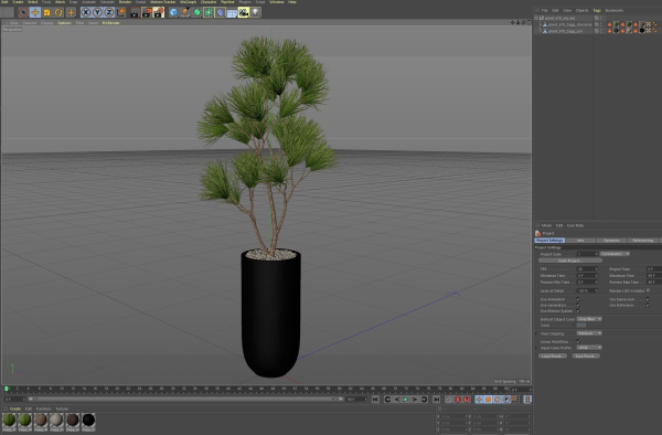 Plants collection 678