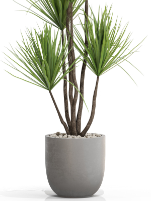 plants-collection-683-3d-model-max-obj-fbx-c4d-blend