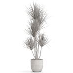 Plants collection 683