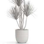 Plants collection 683