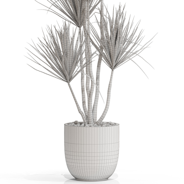Plants collection 683
