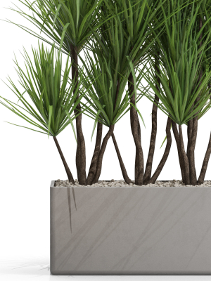plants-collection-684-3d-model-max-obj-fbx-c4d-blend