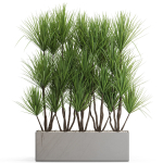 Plants collection 684