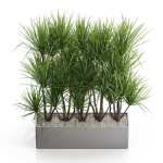 Plants collection 684