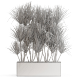 Plants collection 684
