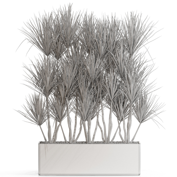 Plants collection 684