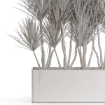 Plants collection 684