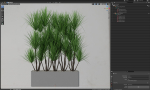 Plants collection 684