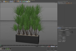 Plants collection 684