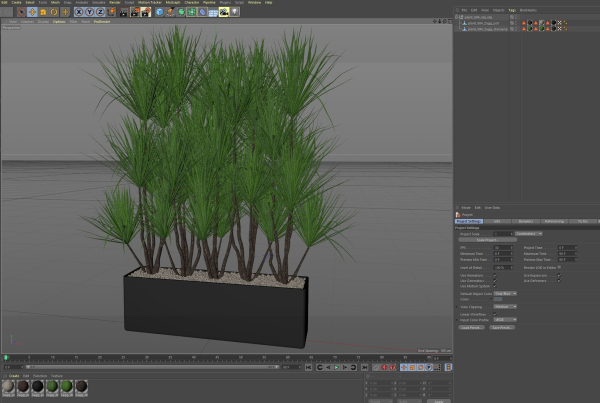 Plants collection 684