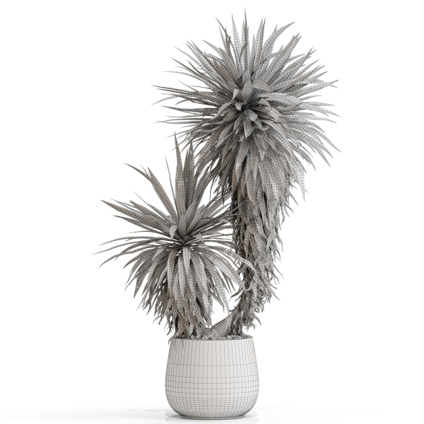 Plants collection 688