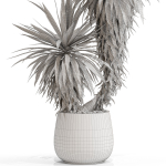 Plants collection 688