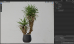 Plants collection 688
