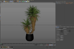 Plants collection 688