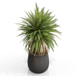 Plants collection 689