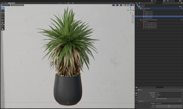 Plants collection 689