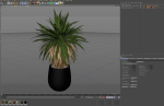 Plants collection 689