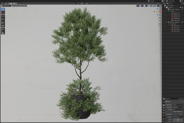 Plants collection 697