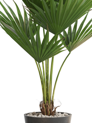 plants-collection-706-3d-model-max-obj-fbx-c4d-blend