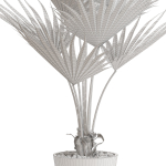 Plants collection 706