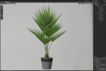 Plants collection 706
