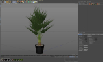 Plants collection 706
