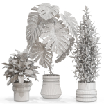 Plants collection 721