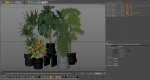 Plants collection 721