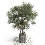 Plants collection 723