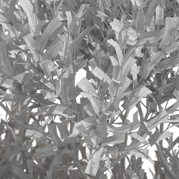 Plants collection 723