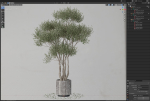 Plants collection 723