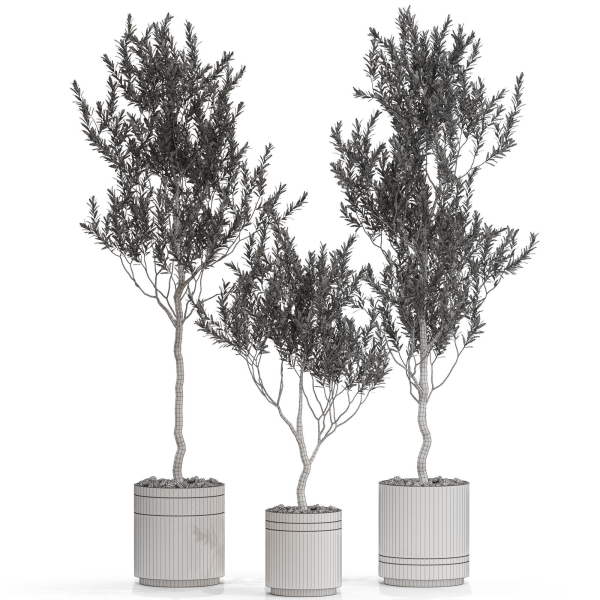 Plants collection 731