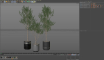 Plants collection 731
