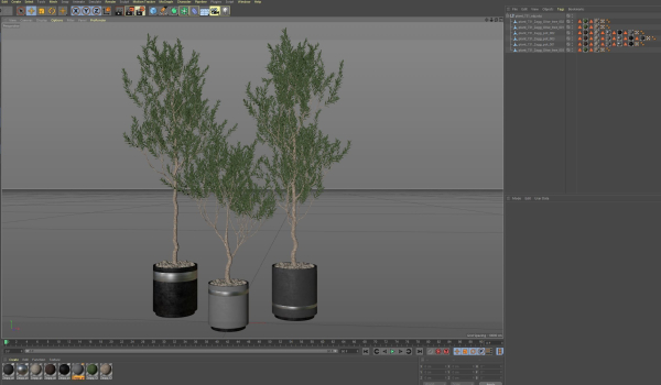 Plants collection 731