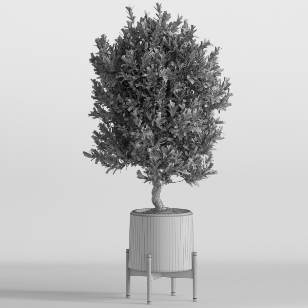 Plants collection 737