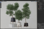 Plants collection 737