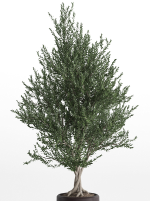 plants-collection-740-3d-model-max-obj-fbx-c4d-blend