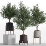 Plants collection 740