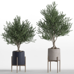 Plants collection 740