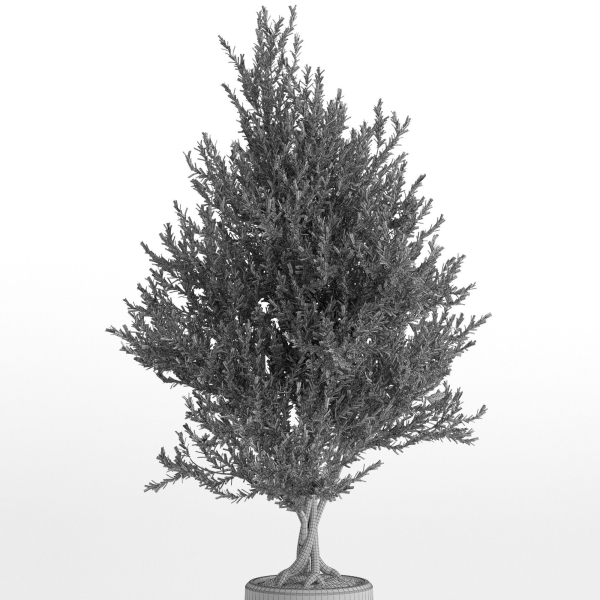 Plants collection 740
