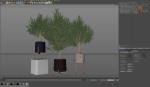 Plants collection 740