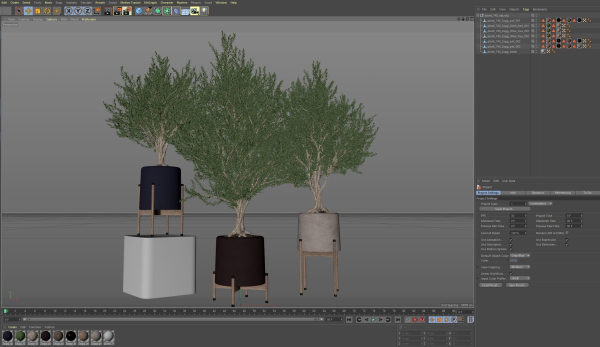 Plants collection 740