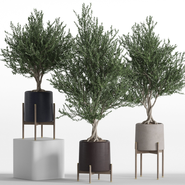 Plants collection 740