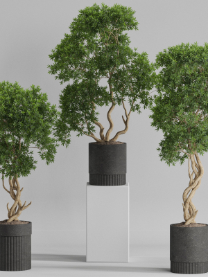 plants-collection-743-3d-model-max-obj-fbx-c4d-blend